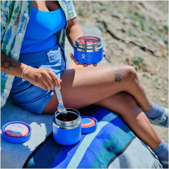 Hydro Flask Кутия за обяд Термос Inox Сив 355мл 1бр