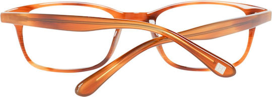 Hackett Männlich Kunststoff Brillenrahmen Braun HEB0741-349