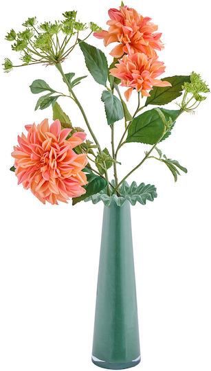 Butlers Anemone