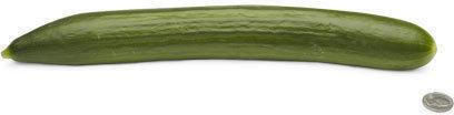 Αγγούρι Μακρύ F1 Cucumis Sativus 0.6γρ Σπόροι Αγγουριου