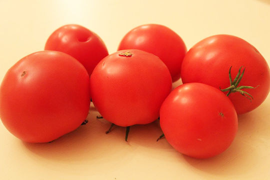 Tomate Bononia 1g Samen