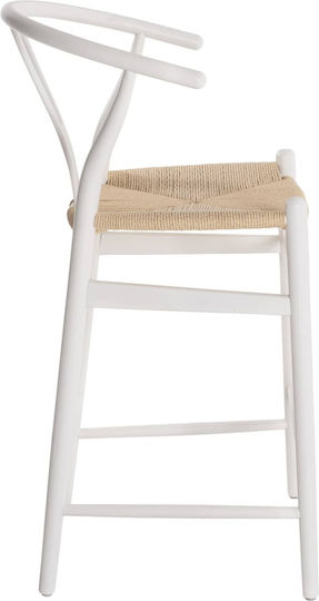 Stool Bar with Backrest Metallic White 48x53x100cm