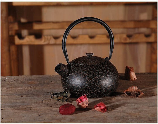 Patchy Teapot with Filter Cast Iron Hand Brown 850ml