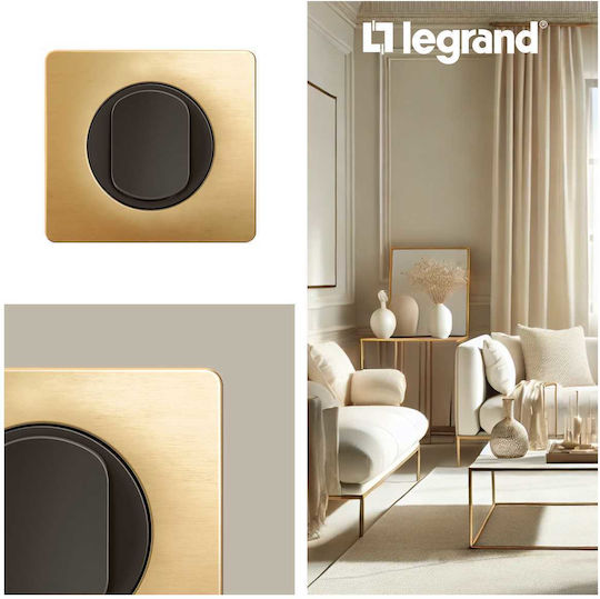 Celiane Frame 1 Position Satin Brass