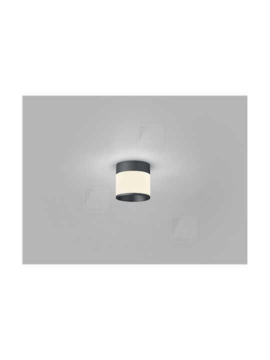 Helestra Plafonieră de Tavan 10buc Neagră cu LED Integrat