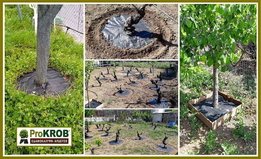 Плат За Земно Покритие Prokrob Дървета Кръгло Ф70