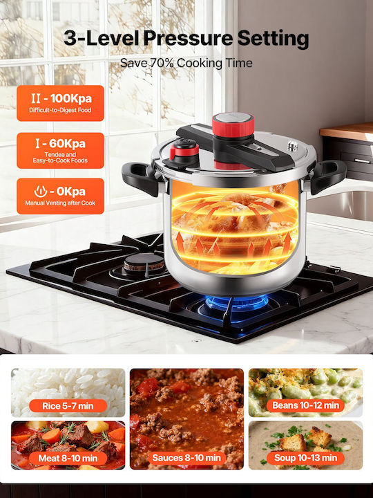 Vevor Pressure Cooker 11.3lt
