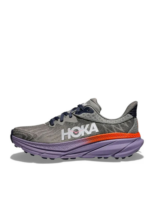 Sneakers Gray