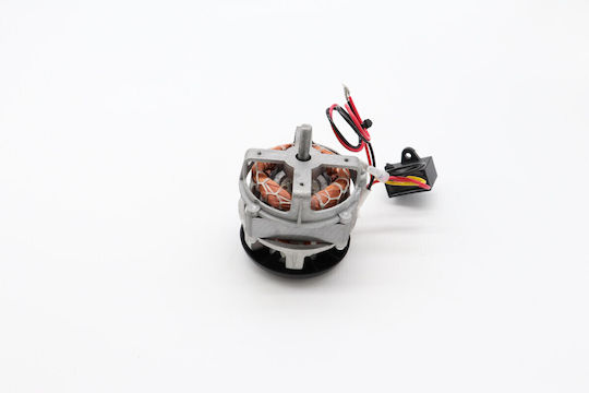 Maxima Motor