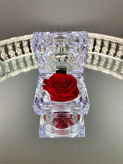 Rose Amor – Eternal Love Rose Long-lasting 100% Natural Rose