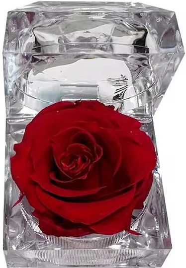 Rose Amor – Eternal Love Rose Long-lasting 100% Natural Rose