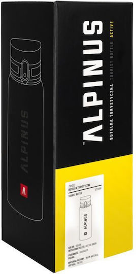 Alpinus Trysil Thermos Bottle 650ml Transparent