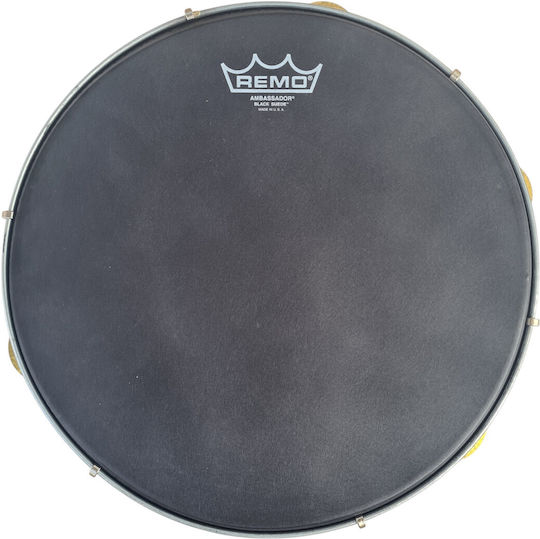 Epirotic Defi 12'' Walnut Remo Ambassador Black Suede