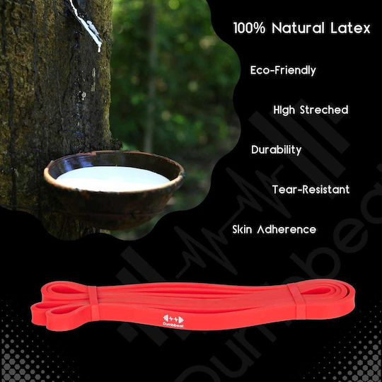 Premium Set Bands & Resistance Bands Dumbbeat