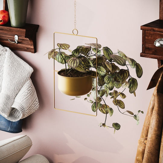 Aberto Design Висящи Саксия Металик Жълт 25x25x40εκ.