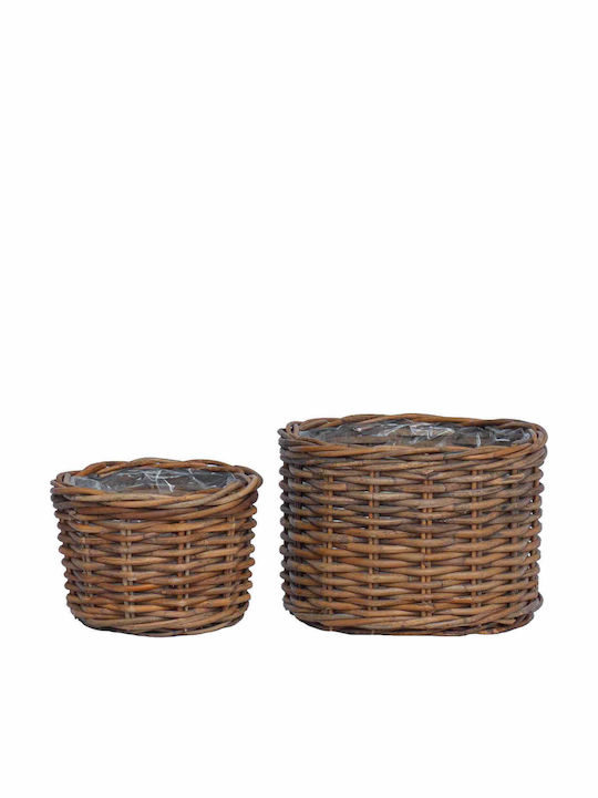 vidaXL Κασπώ Rattan Καφέ 2τμχ