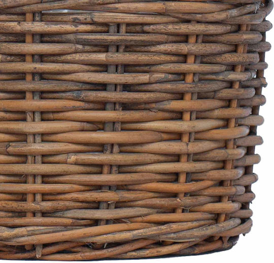 vidaXL Planter Rattan Brown