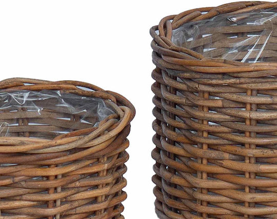 vidaXL Κασπώ Rattan Καφέ 2τμχ