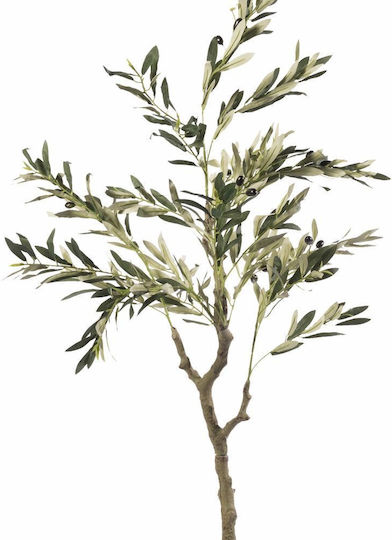 Ελιά σε Γλάστρα 120cm Supergreens