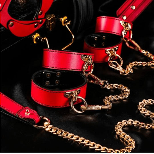 Smd Autorite Totale – Premium Bdsm Bondage & Restraint Set 8 Accessories Πλήρες Bdsm Set 8 Accessories Red Gold