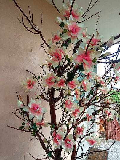 Magnolia Artificial Tree Natural Trunk 1.80-2.00cm Magnolia Artificial Tree Natural Trunk 1.80-2.00cm