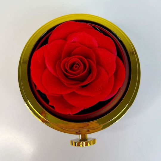 Rote Seife Rose In Elegante Box Dome Kette Überraschen Anhänger