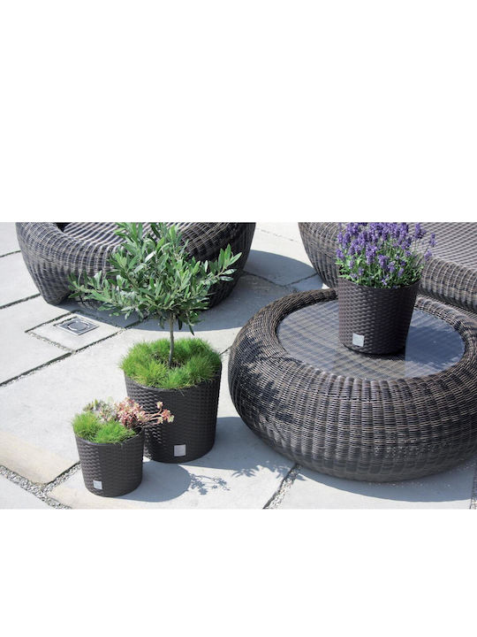 Prosperplast Κασπώ Rattan Καφέ 2τμχ