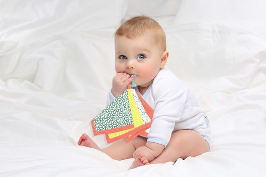 Baby Jem Baby Jem Teether Rubber BPA Free for 3 Months+