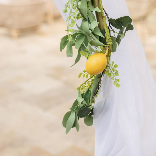Mimosa Διακοσμητική Γιρλάντα Ακακία Beauty Home