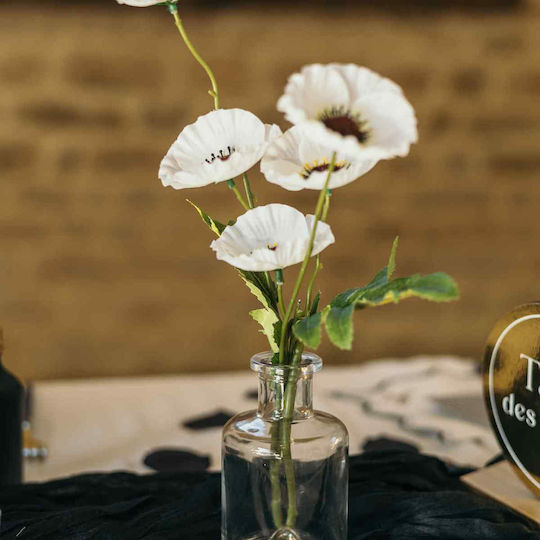 Beauty Home Βάζο Γυάλινο Faustin Διάφανο 6.8xΥ12cm Beauty Home Βάζο Γυάλινο Faustin Διάφανο 6.8xΥ12cm