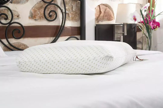 Alpha Foam Relax Aloe Vera Bed Pillow Memory Foam Anatomic 40x70x11cm