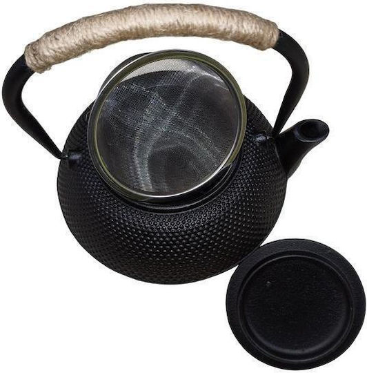 Newest Teapot with Filter Cast Iron Black 1200ml