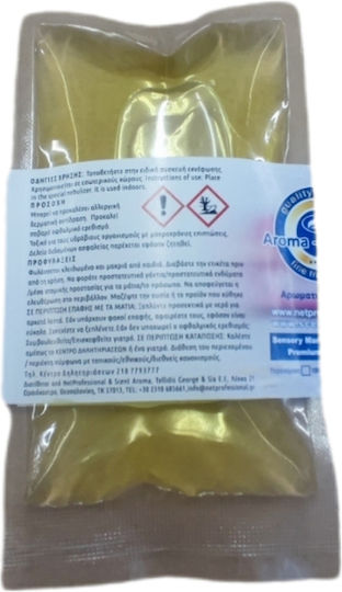 Net Professional Raumduft Melone