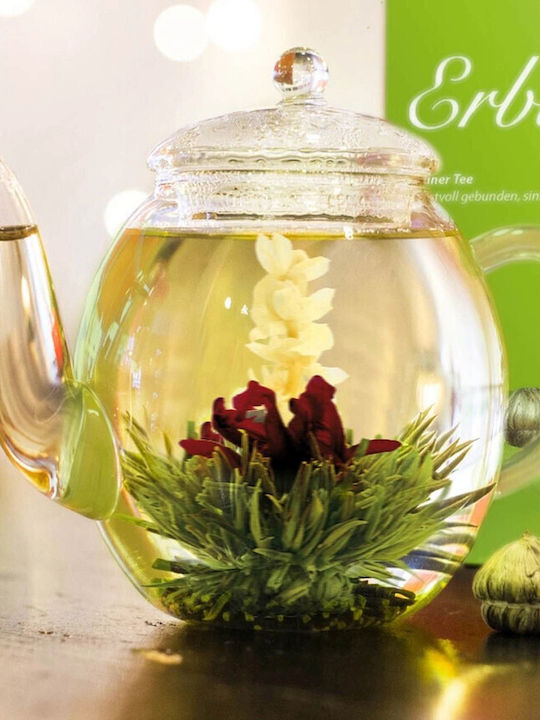 Creano Teekanne Glas Mehrfarbig 500ml