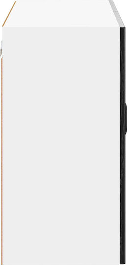 Black Beech 80x31x60buc