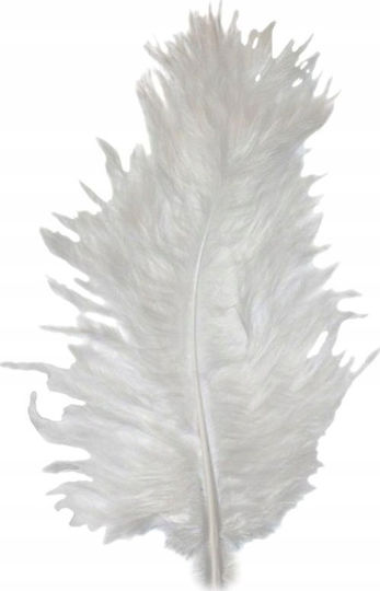 Titanum Turkey Feathers 9-15cm White 50 Pieces