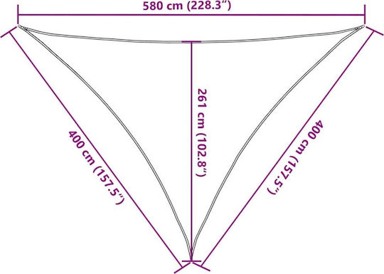 vidaXL Τρίγωνο Πανί Σκίασης Γκρι 4x5.8m 160gr/m²