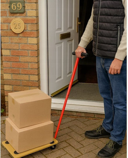 vidaXL Platform Trolley for Weight Load up to 200kg
