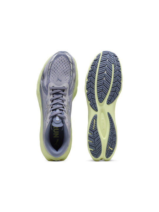 Velocity Nitro 4 Sport Shoes Running Gray