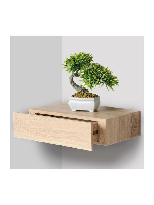 Regal Wand Oak 40x24x10cm