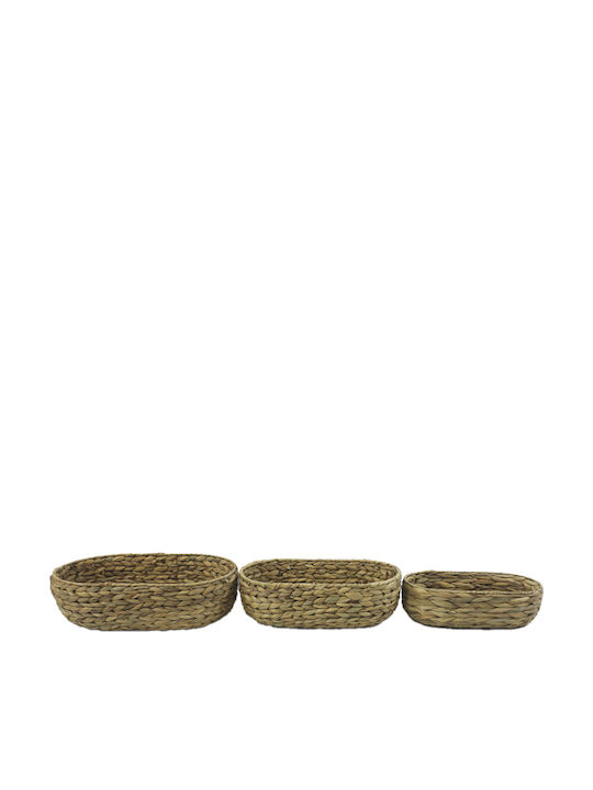 keleman Set Decorative Baskets Wicker Brown 3 Pieces