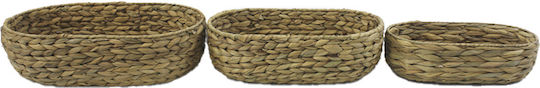 Keleman 20230694 Wicker