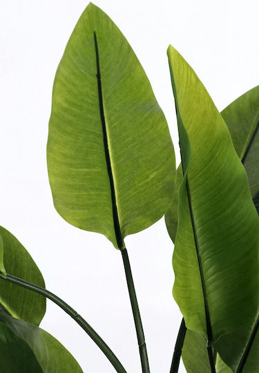 Bizzotto Streliztia Plant W-vase 20leaves H70cm 40x30x70h Bizzotto Streliztia Plant W-vase 20leaves H70cm 40x30x70h