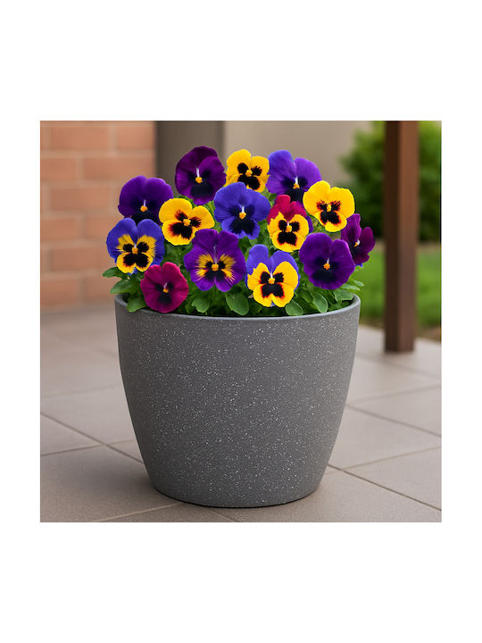 SGTT Blumentopf Kunststoff SGTT Blumentopf Kunststoff