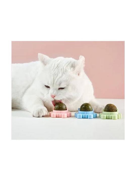 Set 3 Multicolored Catnip Toys Cats Wall-mounted