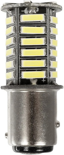 GloboStar Autolampe P21/5W Canbus LED 6000K Kaltes Weiß 12V 2,6W