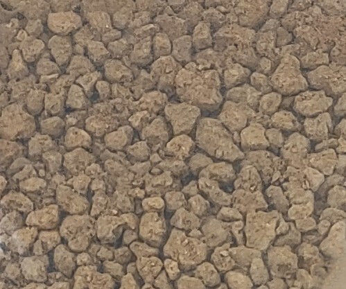 Special Plant Soil 2lt LODD1073S