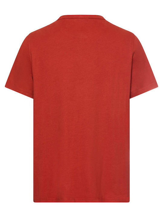 T-shirt Κοκκινο/καφε