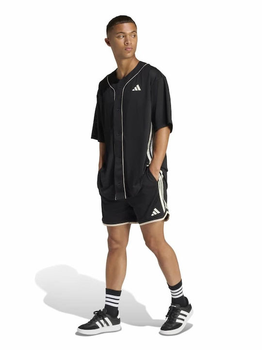 Herren Shorts Schwarz