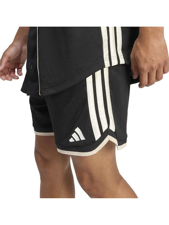 Herren Shorts Schwarz